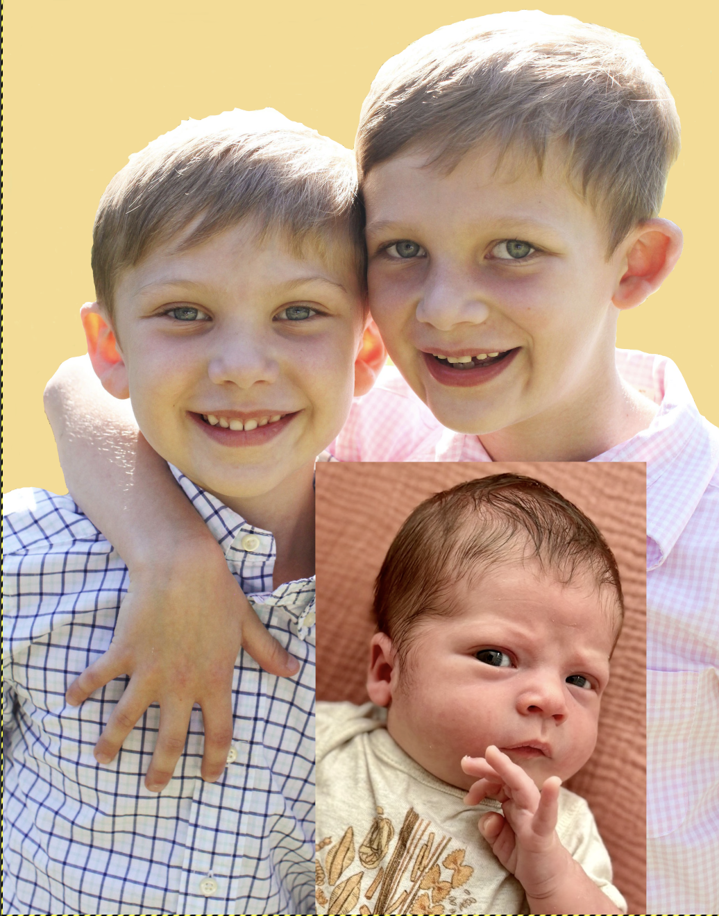 Replacing the background in the photo with a uniform color